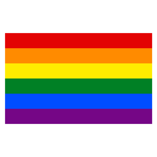 rainbow flag lgbt